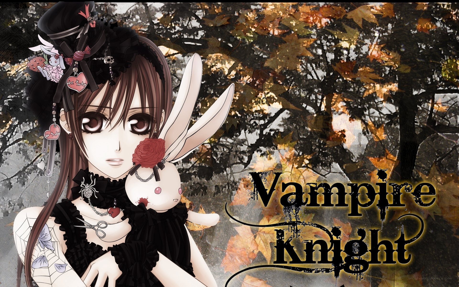 Vampire Knight anime art