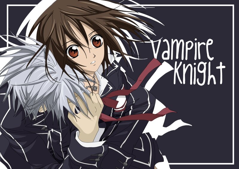 Vampire Knight anime art