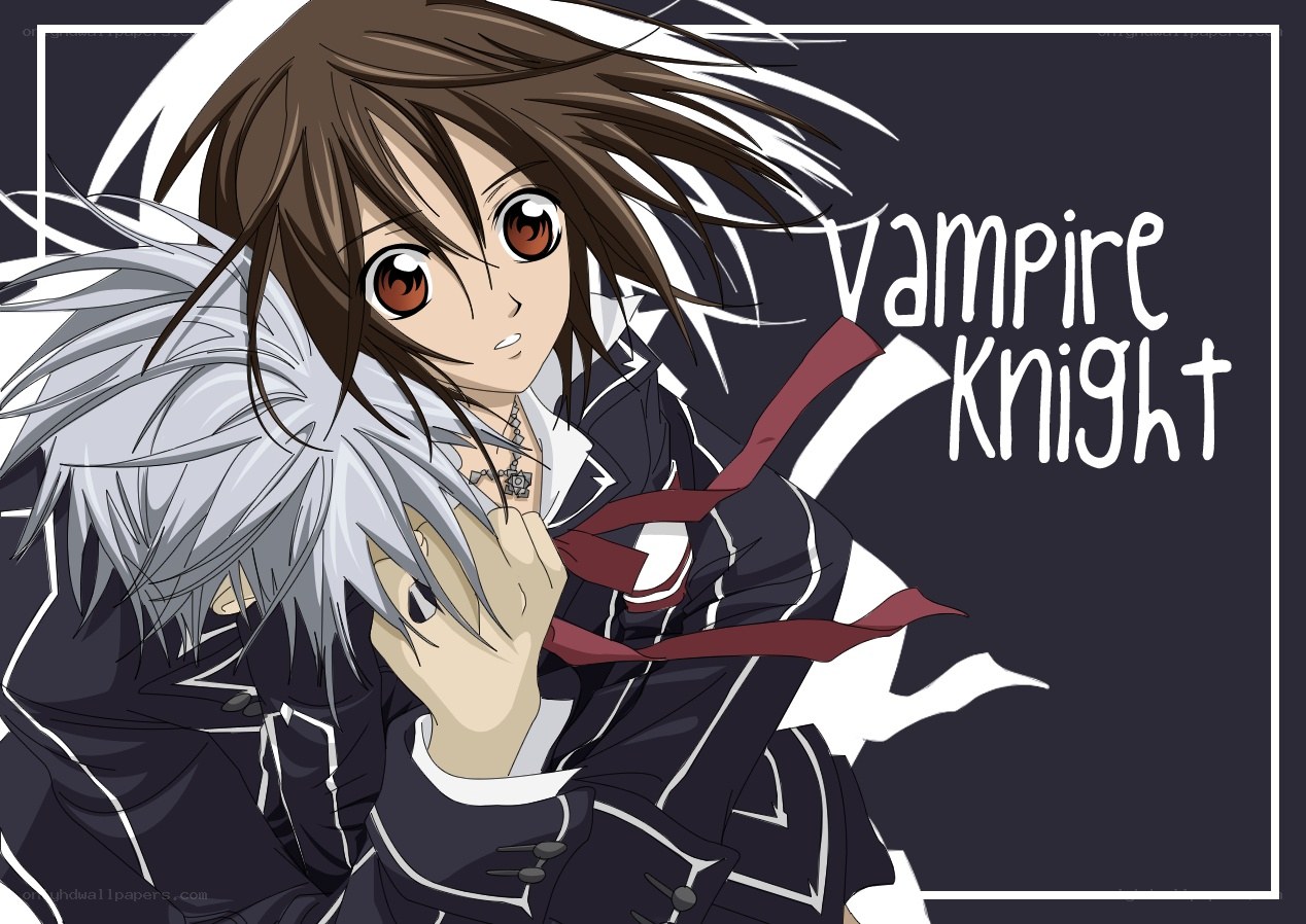 Vampire Knight anime art