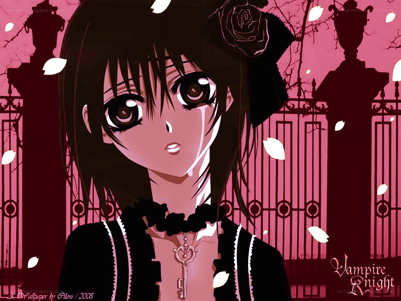 Vampire Knight anime character