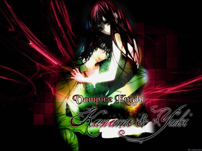 Vampire Knight artwork