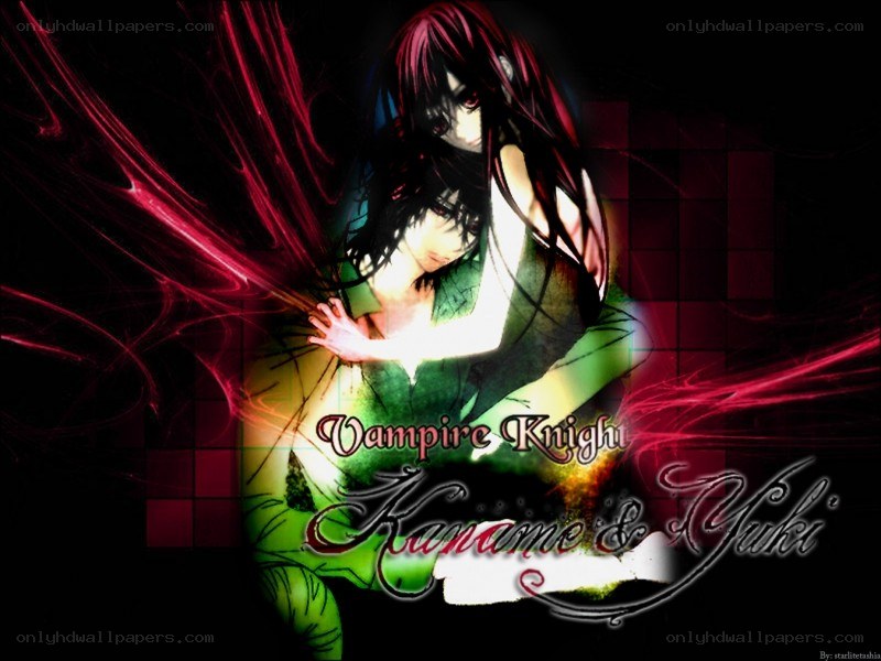 Vampire Knight artwork