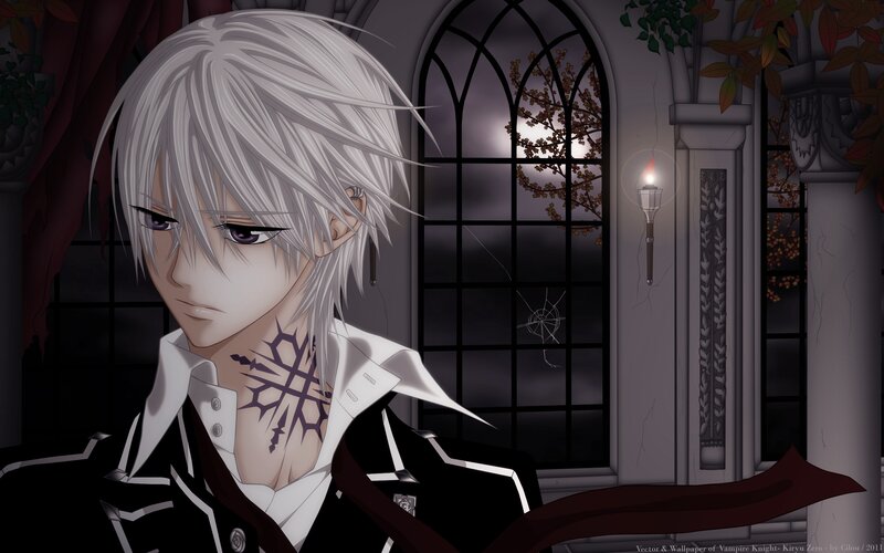 Vampire Knight character portrait