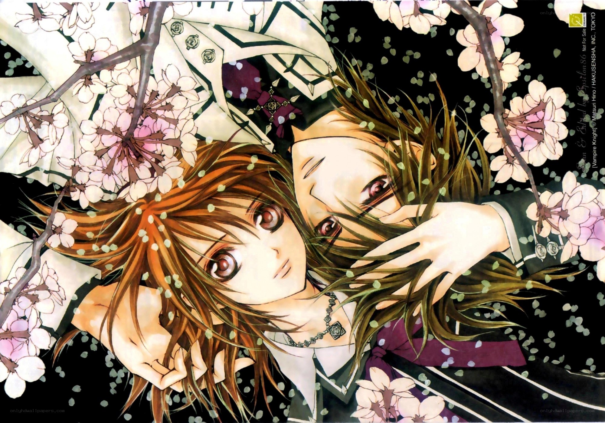 Vampire Knight characters under cherry blossoms
