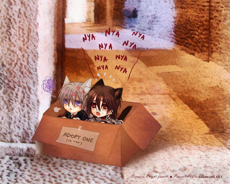 Vampire Knight chibi characters in a box