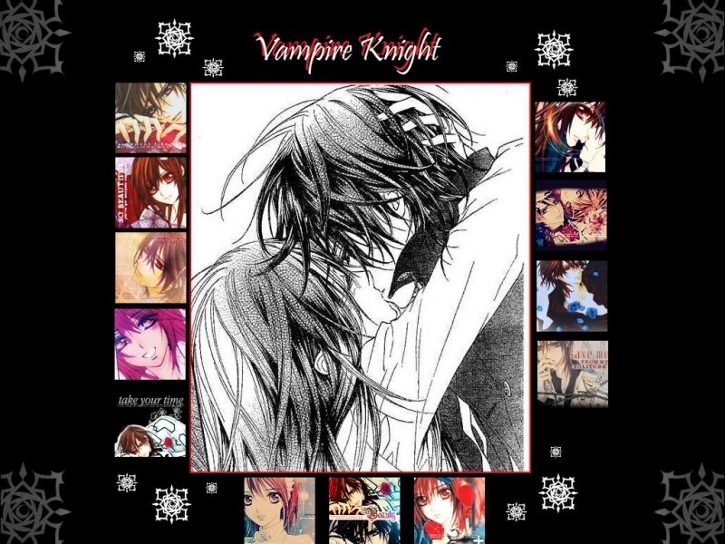 Vampire Knight collage