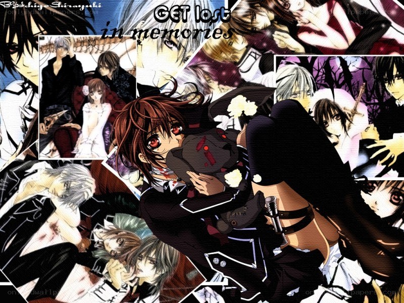 Vampire Knight collage