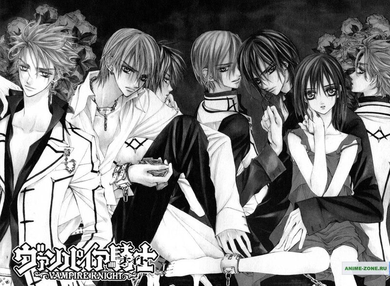 Vampire Knight manga group