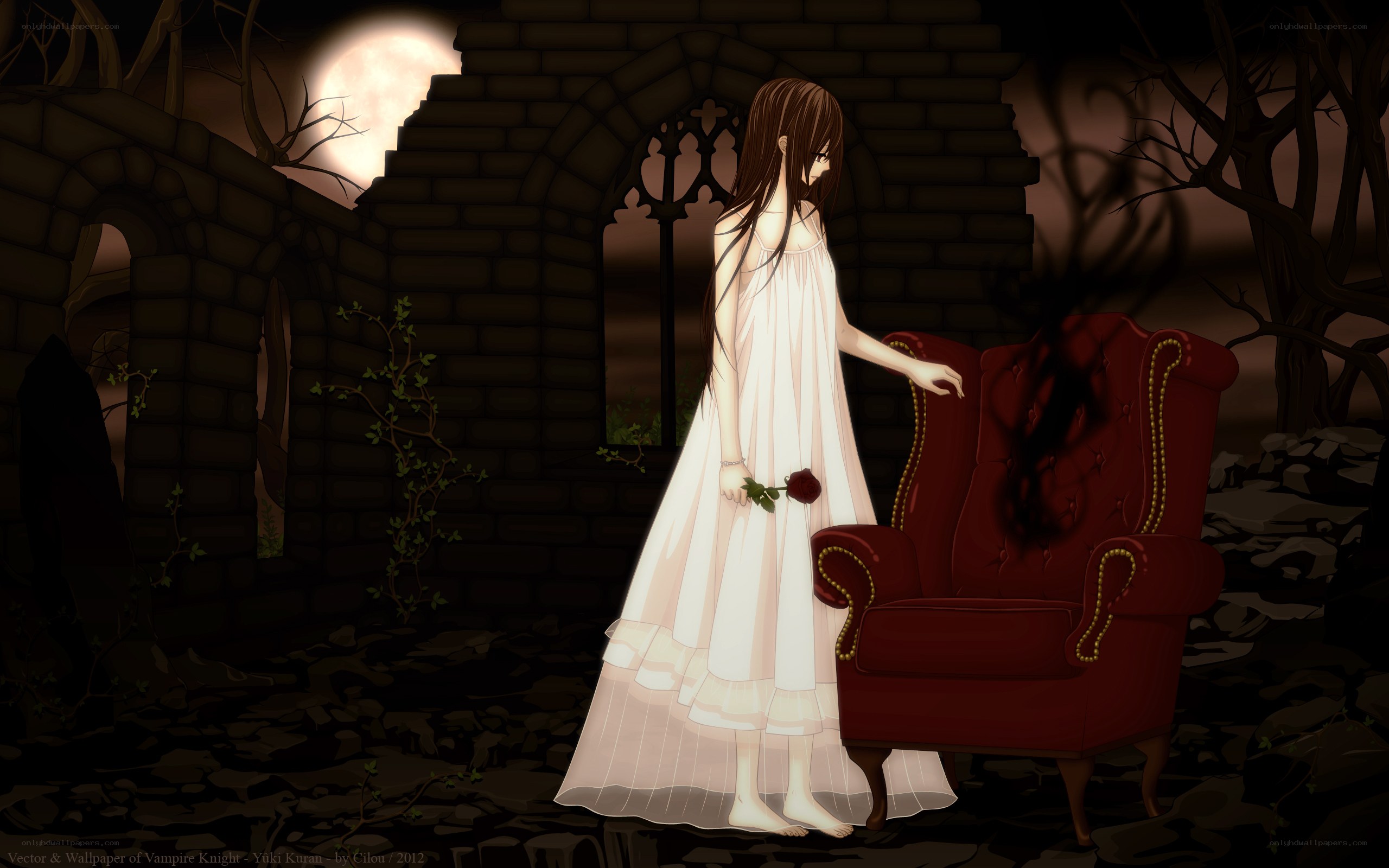 Vampire Knight Yuki Kurama
