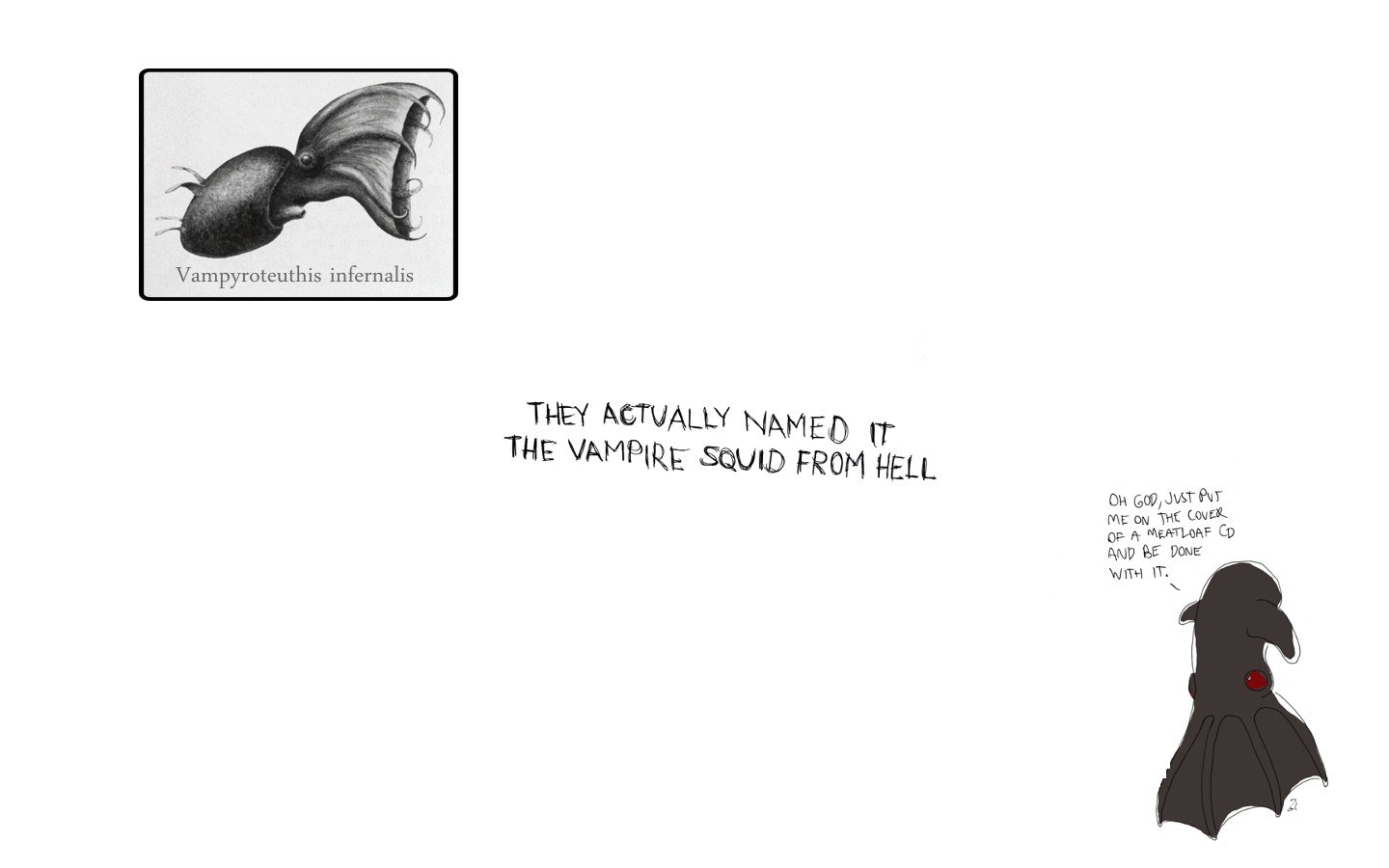 vampire squid from hell