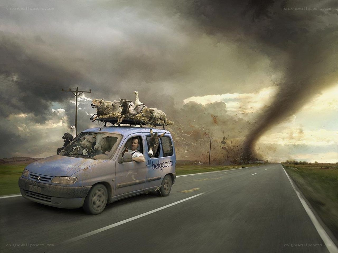 Van fleeing tornado with animals