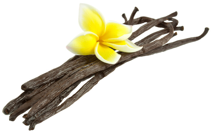 Vanilla Beans with Flower