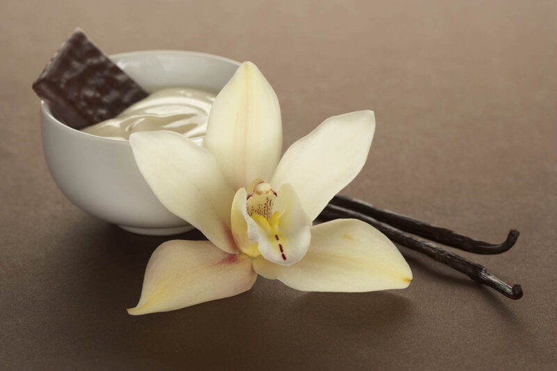 Vanilla Orchid Flower