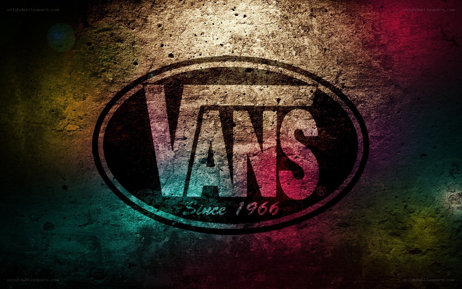 Vans logo on textured wall