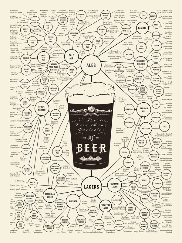 Varieties of Beer Infographic