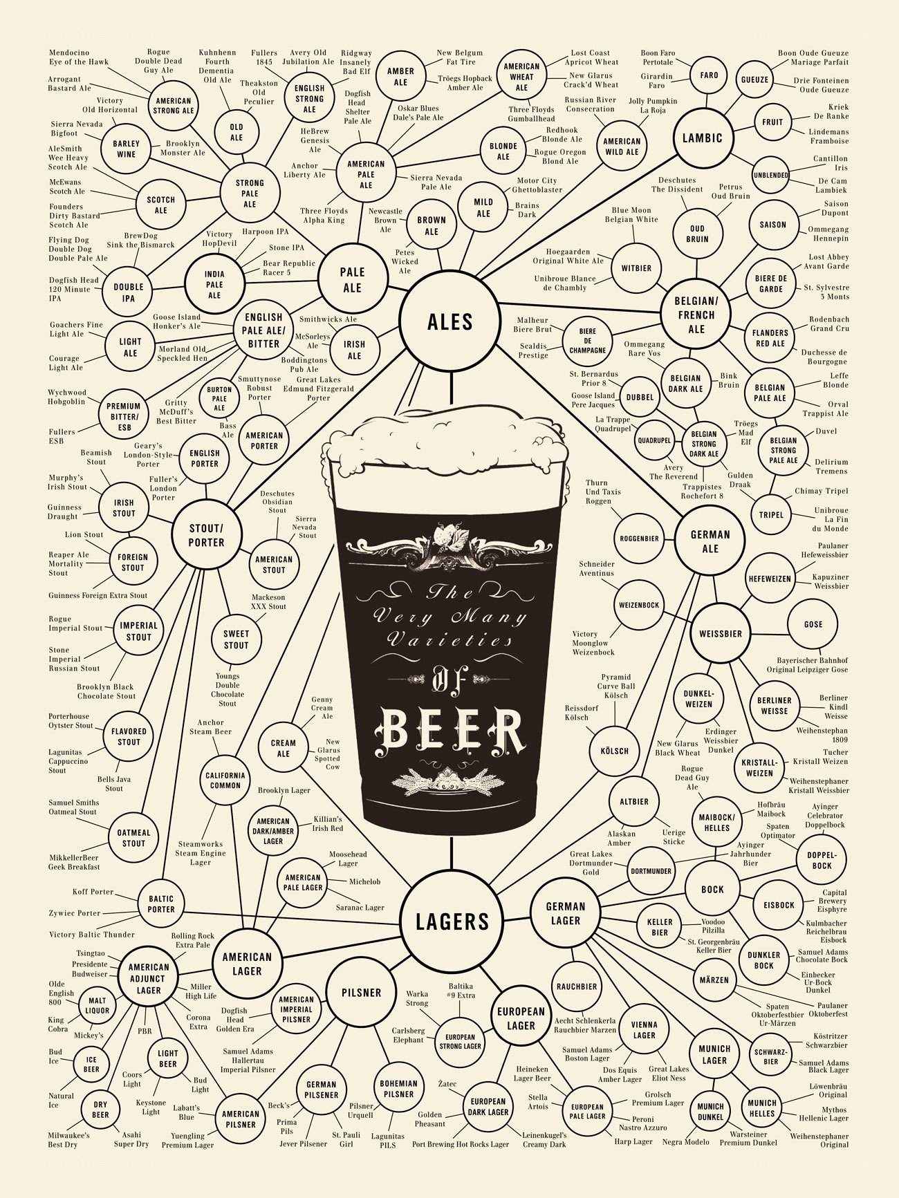 Varieties of Beer Infographic