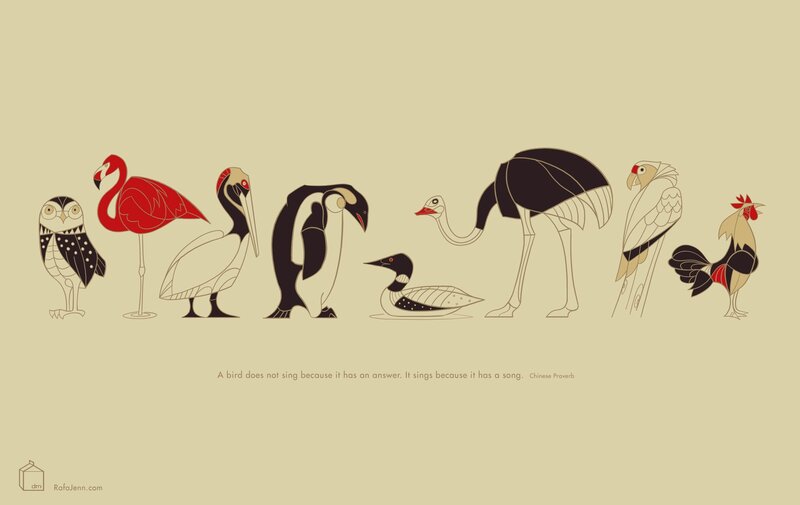 Various Birds in Illustration