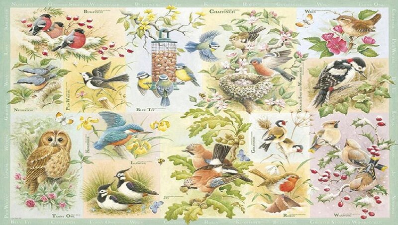 Various Birds in Illustrations