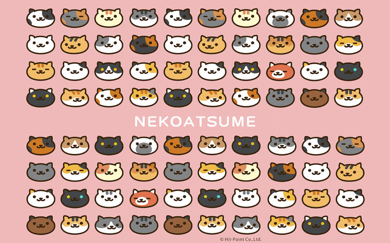 Various Cat Faces