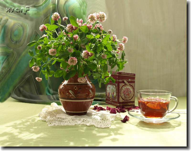 Vase of Clover Flowers