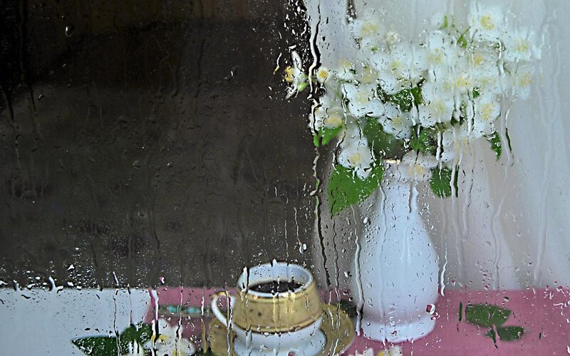 Vase of Flowers and Cup