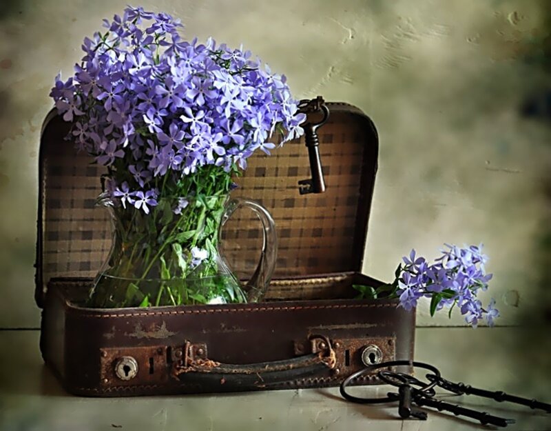 Vase of Purple Flowers