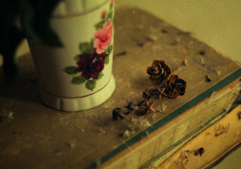 Vase with Dried Flowers