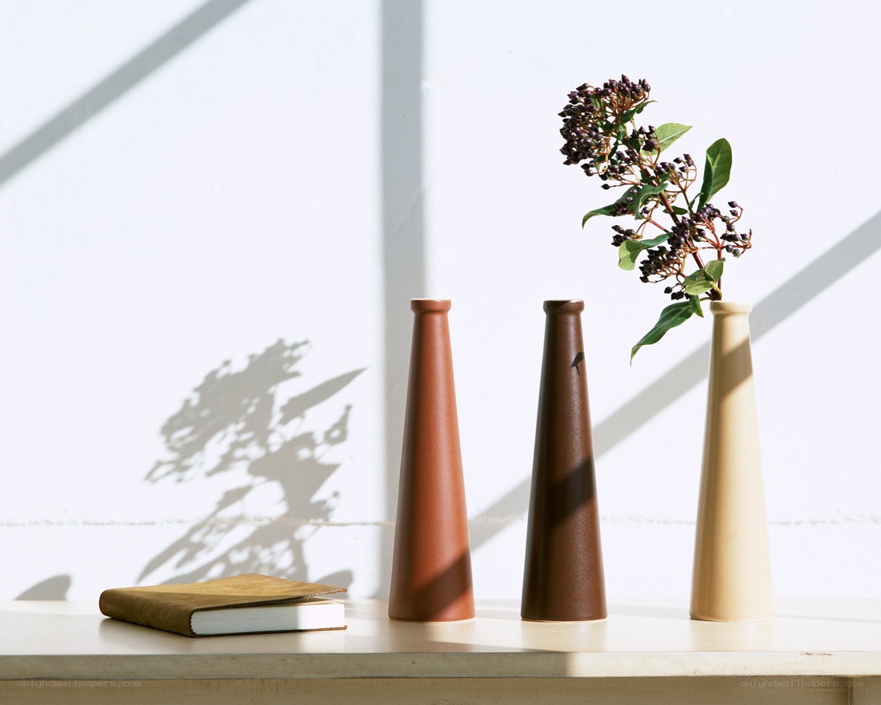 Vases with plant and book
