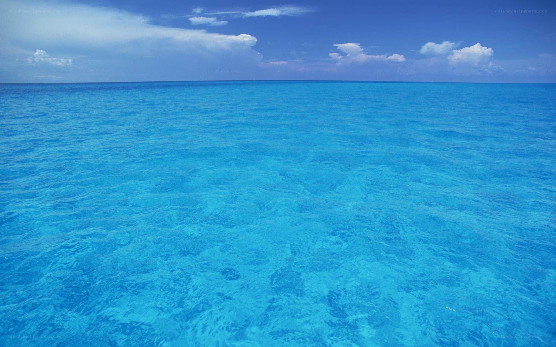 Vast blue ocean horizon