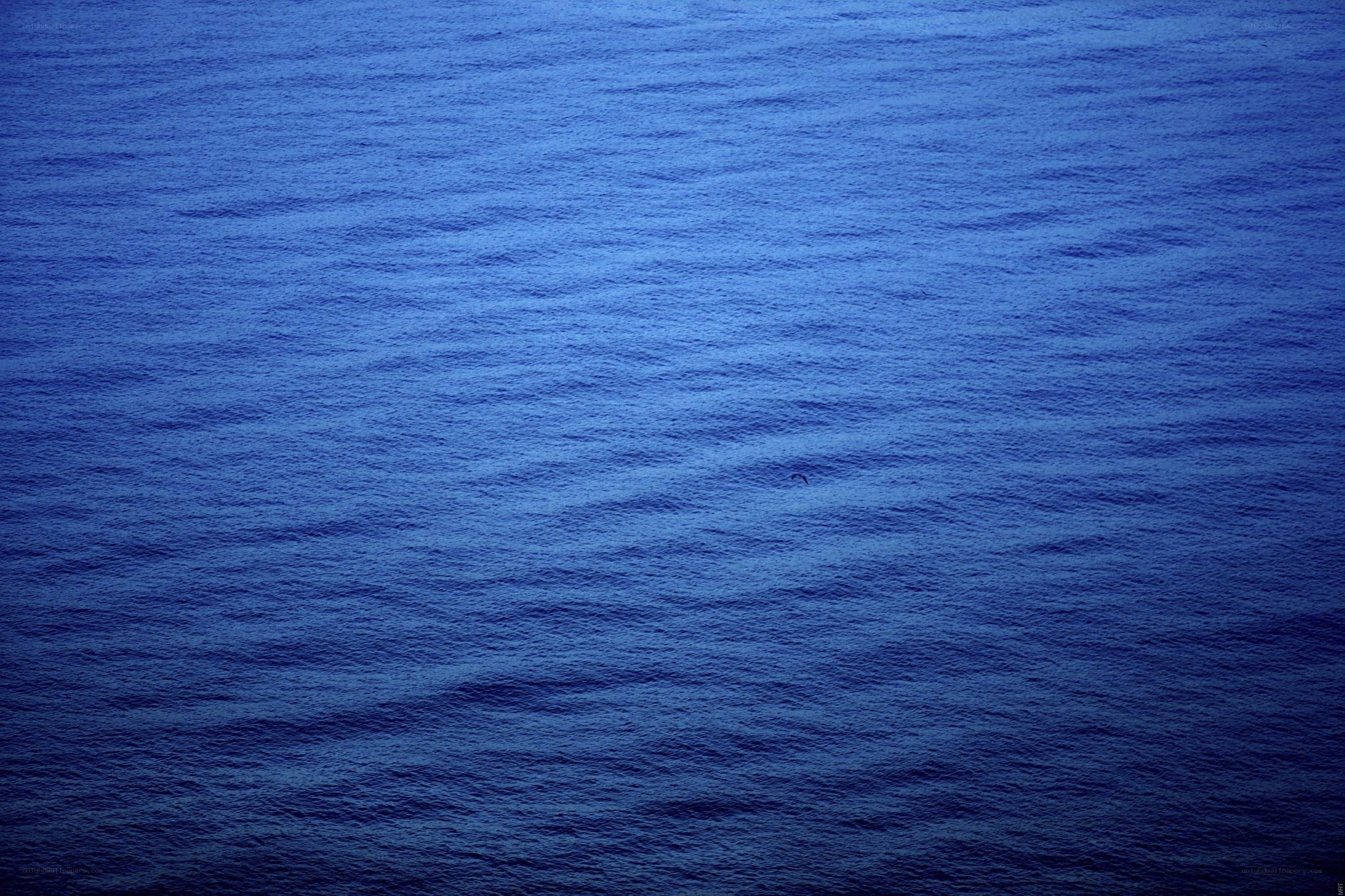 vast blue ocean surface