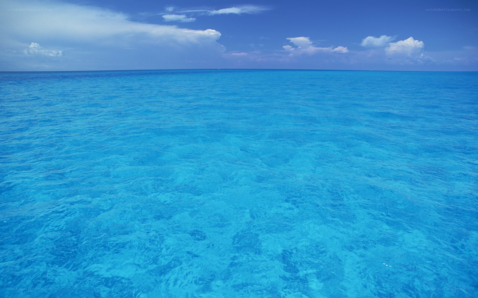 Vast blue ocean under clear sky