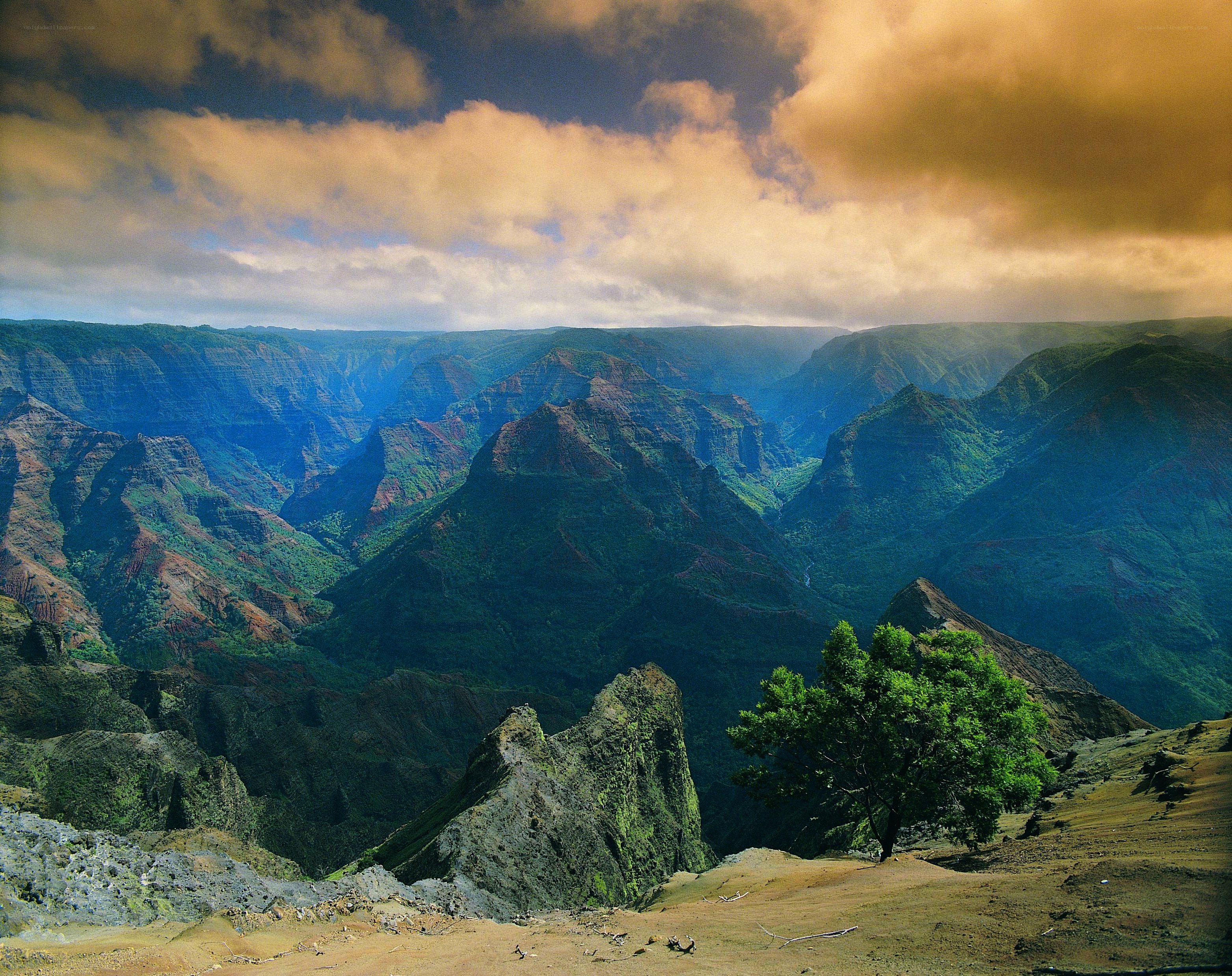 Vast canyon under dramatic sky