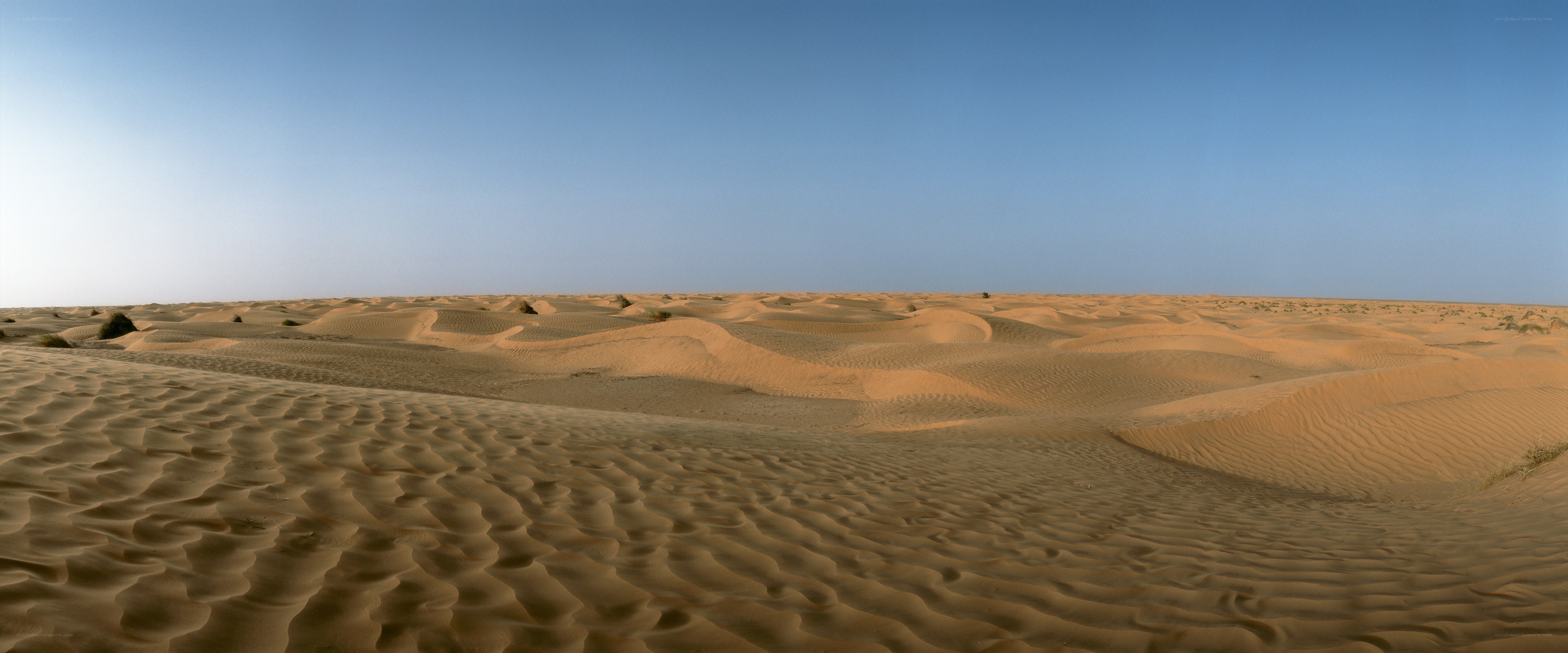 Vast desert dunes under clear sky