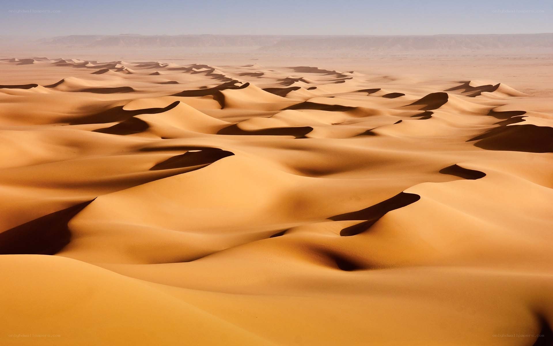 Vast desert sand dunes