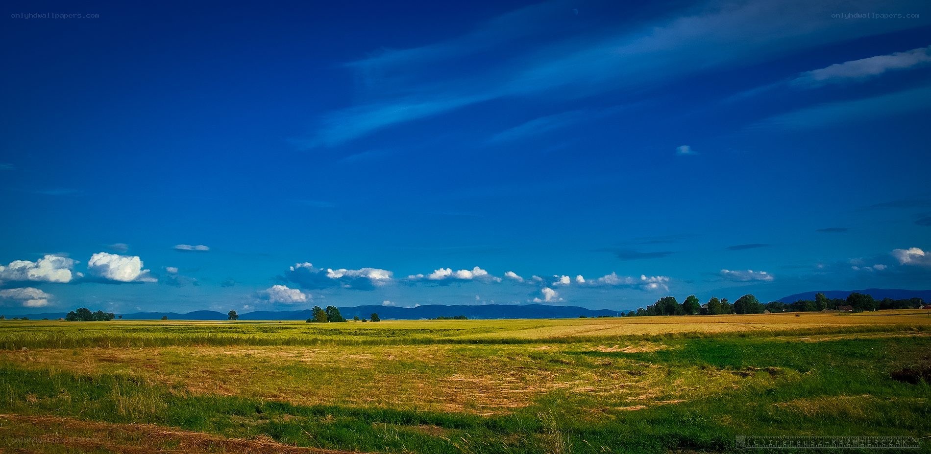 Vast field under blue sky