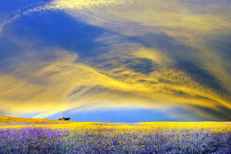 Vast field under dramatic sky