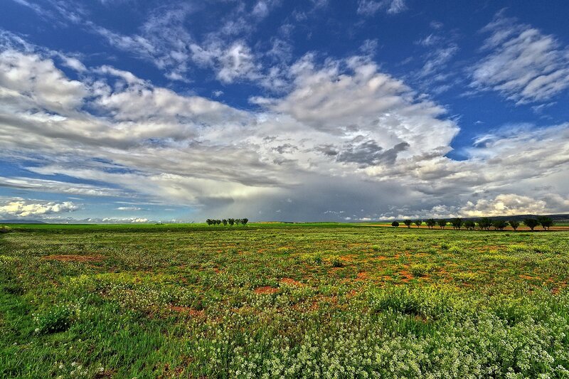 Vast field under dramatic sky