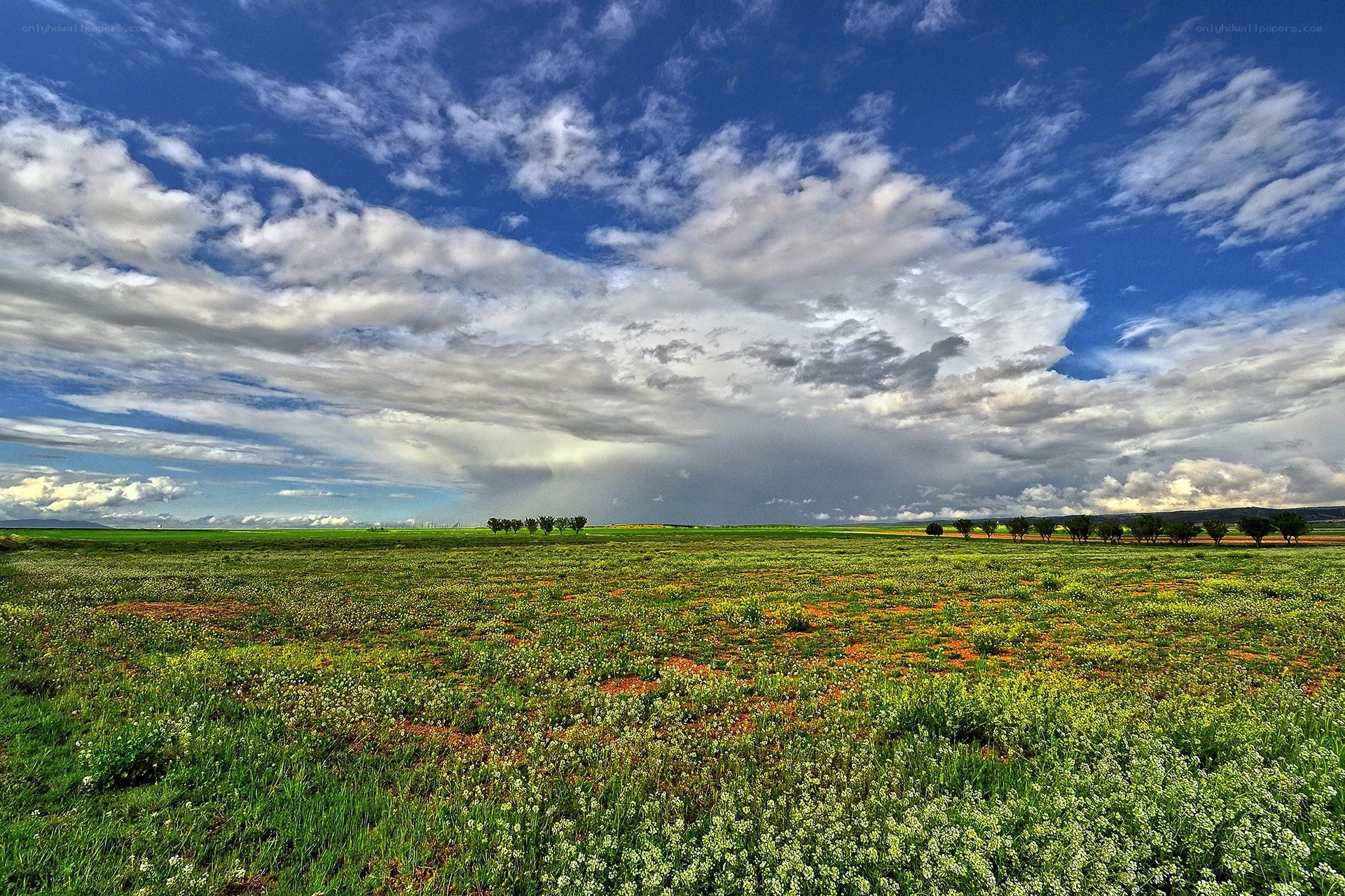Vast field under dramatic sky