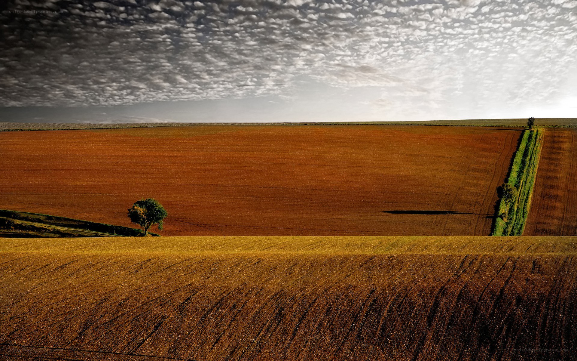 Vast fields under cloudy sky