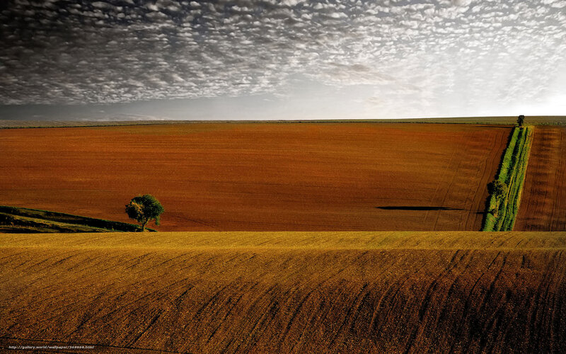 Vast fields under cloudy sky