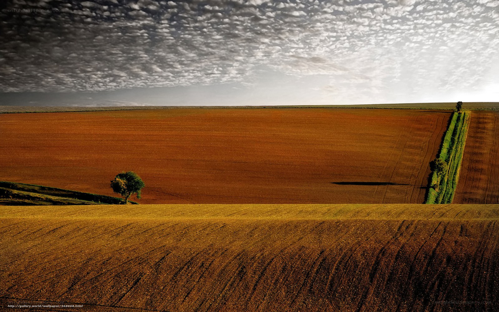 Vast fields under cloudy sky