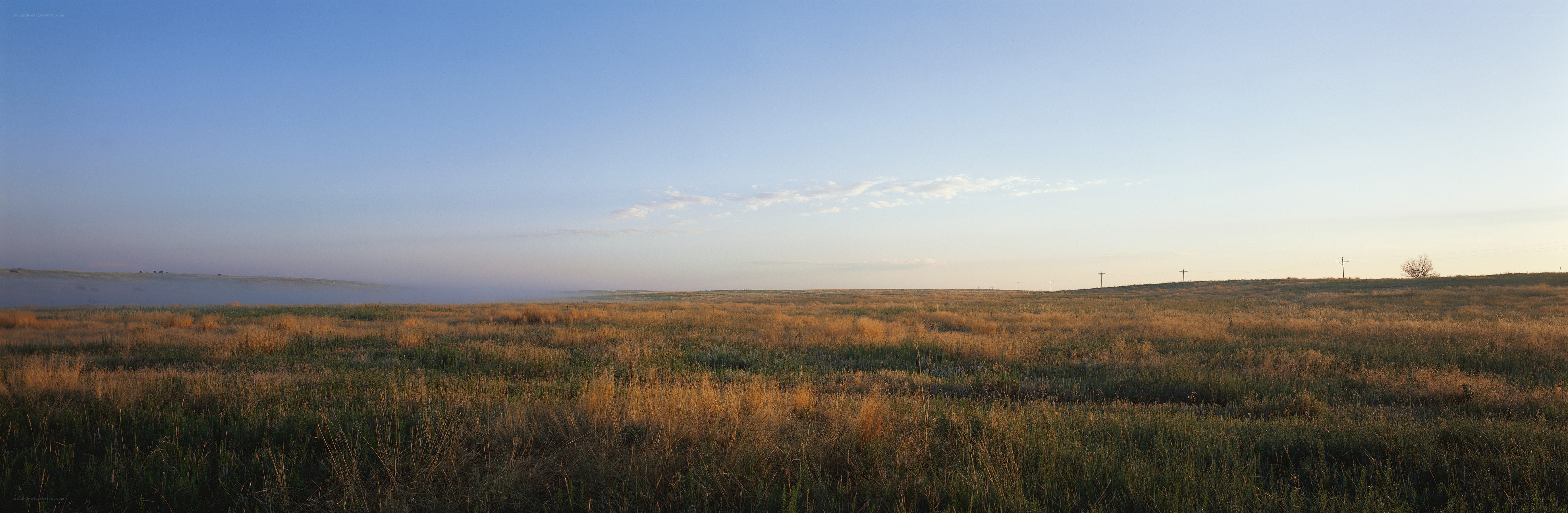 Vast grassland at dawn