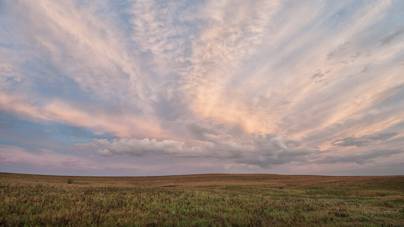 Vast Grassland under Clouds