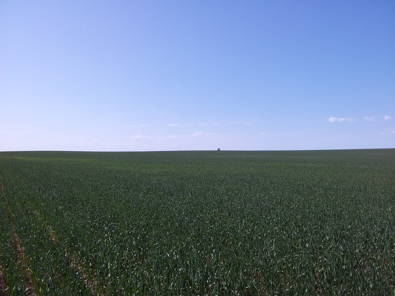 Vast green field under blue sky