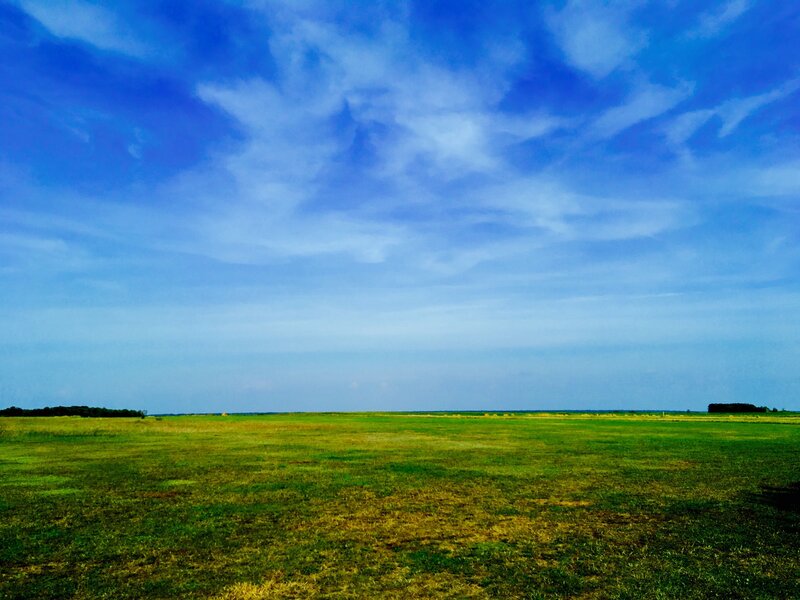 Vast green field under blue sky