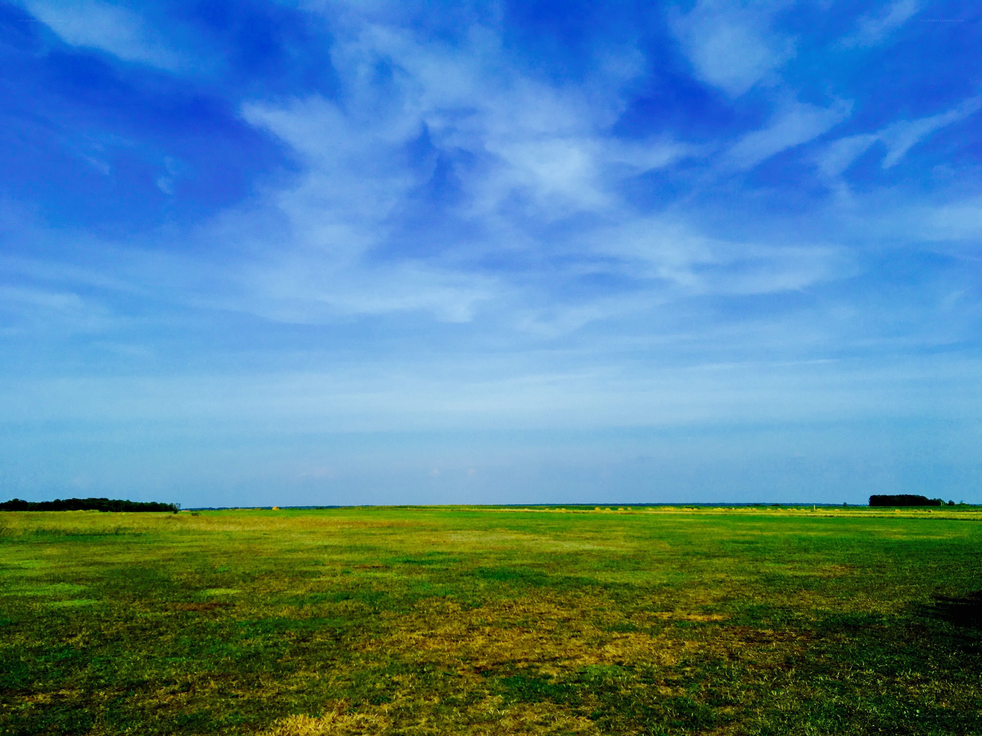 Vast green field under blue sky