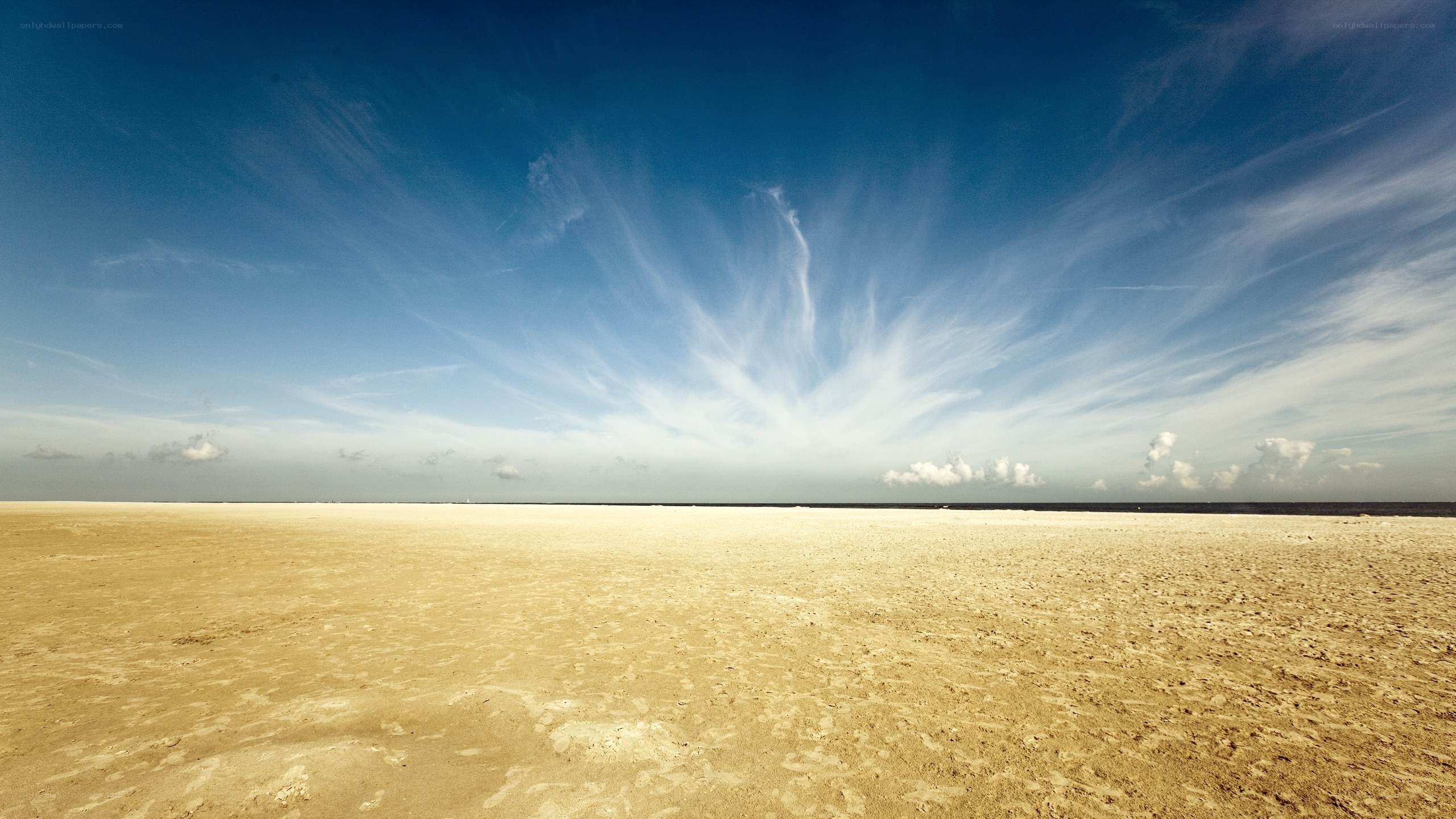 Vast sandy beach under blue sky