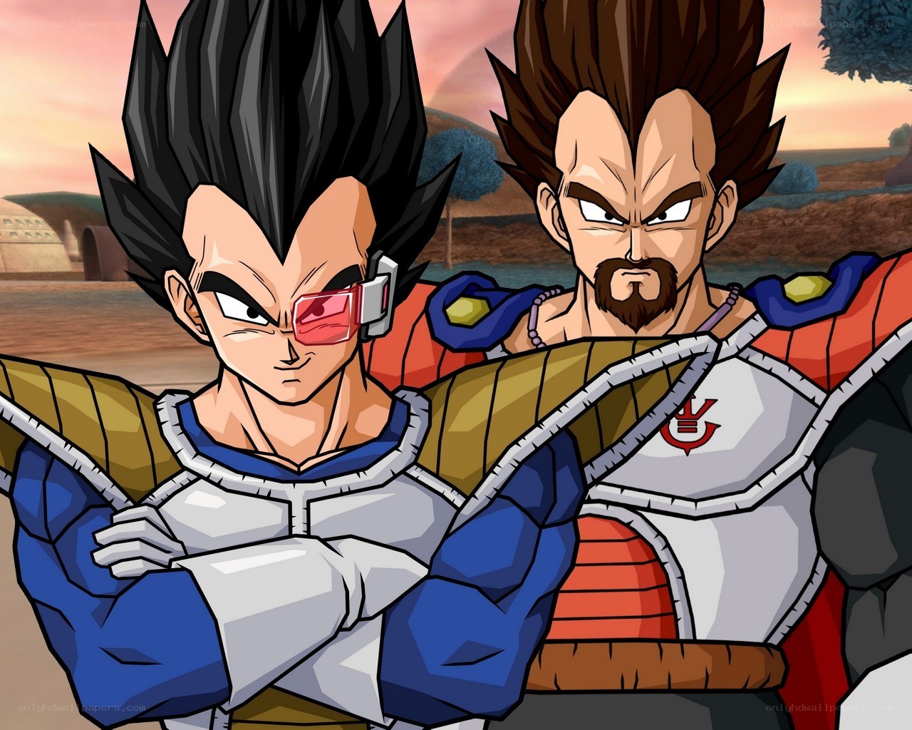 Vegeta and Bardock in armor
