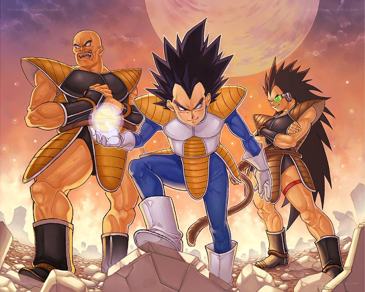 Vegeta and Saiyan warriors