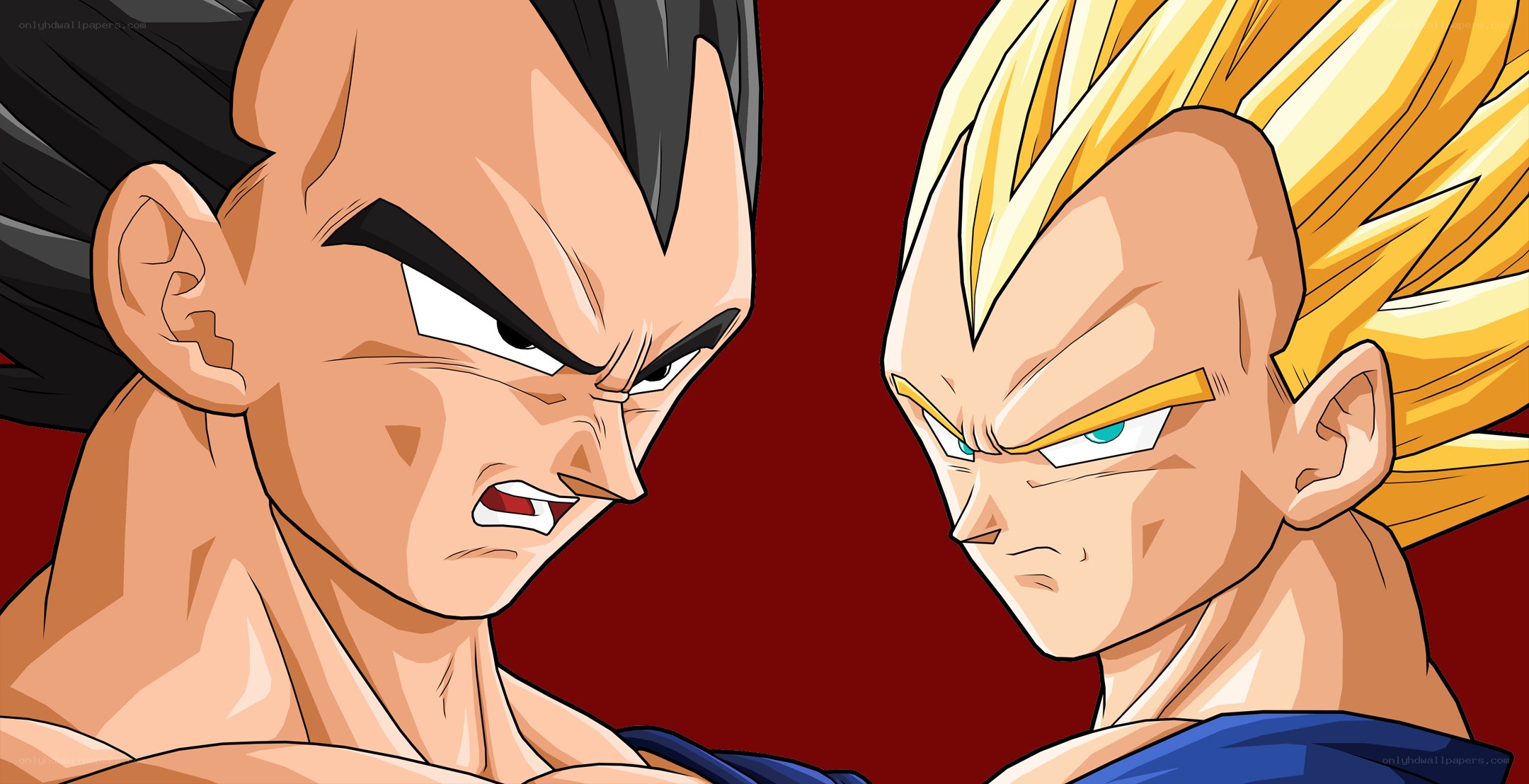 Vegeta and Super Saiyan Vegeta face-off